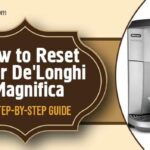 how to reset delonghi magnifica